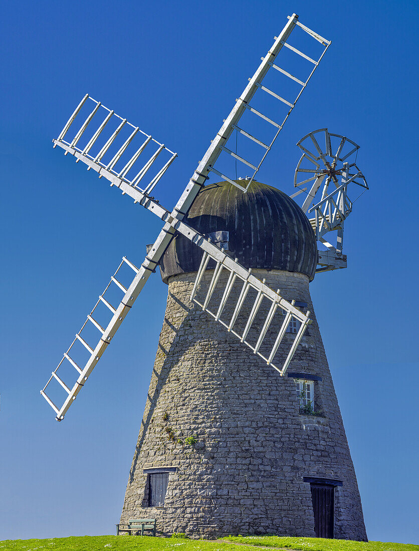 Windmühle vor einem strahlend blauen Himmel; Whitburn, Tyne and Wear, England.