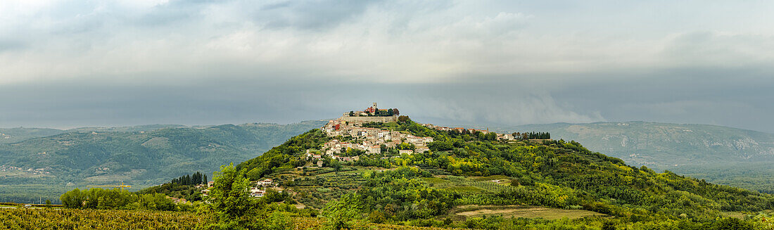 Vineyards surrounding the hilltop medieval town of Motovun; Motovun, Istria, Croatia