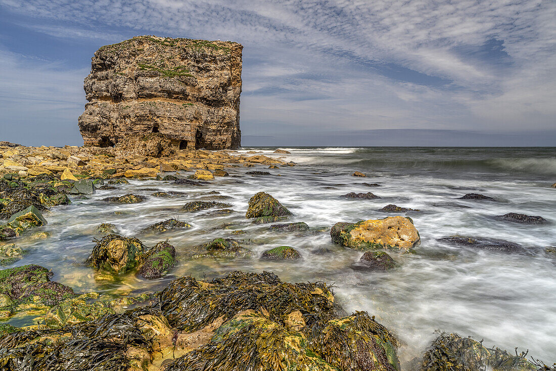 Marsden Rock, ein 30 Meter hoher Felsen vor der Nordostküste Englands, gelegen bei Marsden, South Shields; South Shields, Tyne and Wear, England.