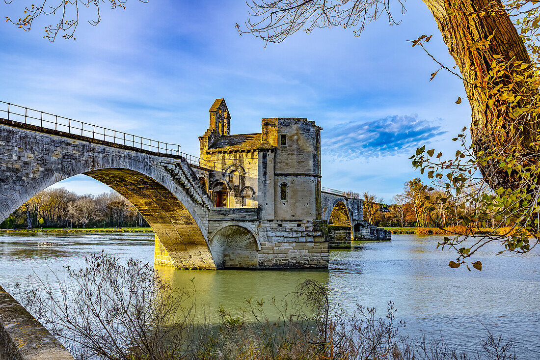 Brücke Saint-Benezet; Avignon, Provence Alpes Côte d'Azur, Frankreich