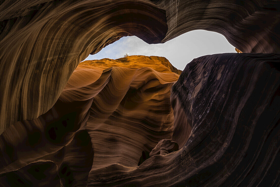 Slot Canyon known as Rattlesnake Canyon; Page, Arizona, United States of America