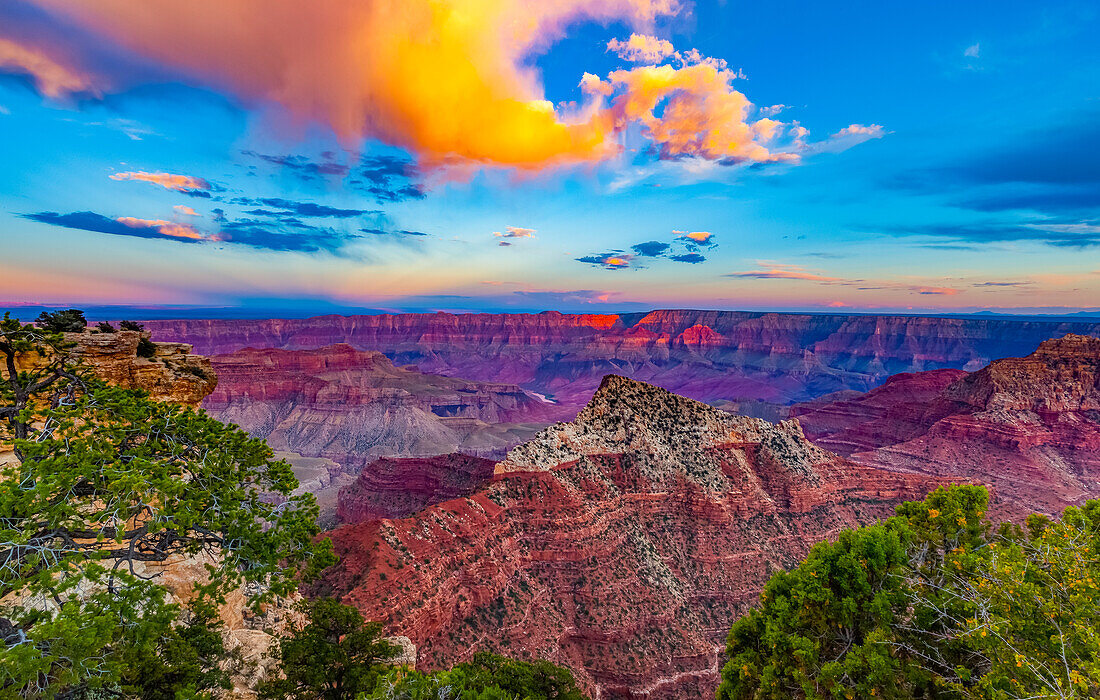 North Rim des Grand Canyon bei Sonnenuntergang; Arizona, Vereinigte Staaten von Amerika