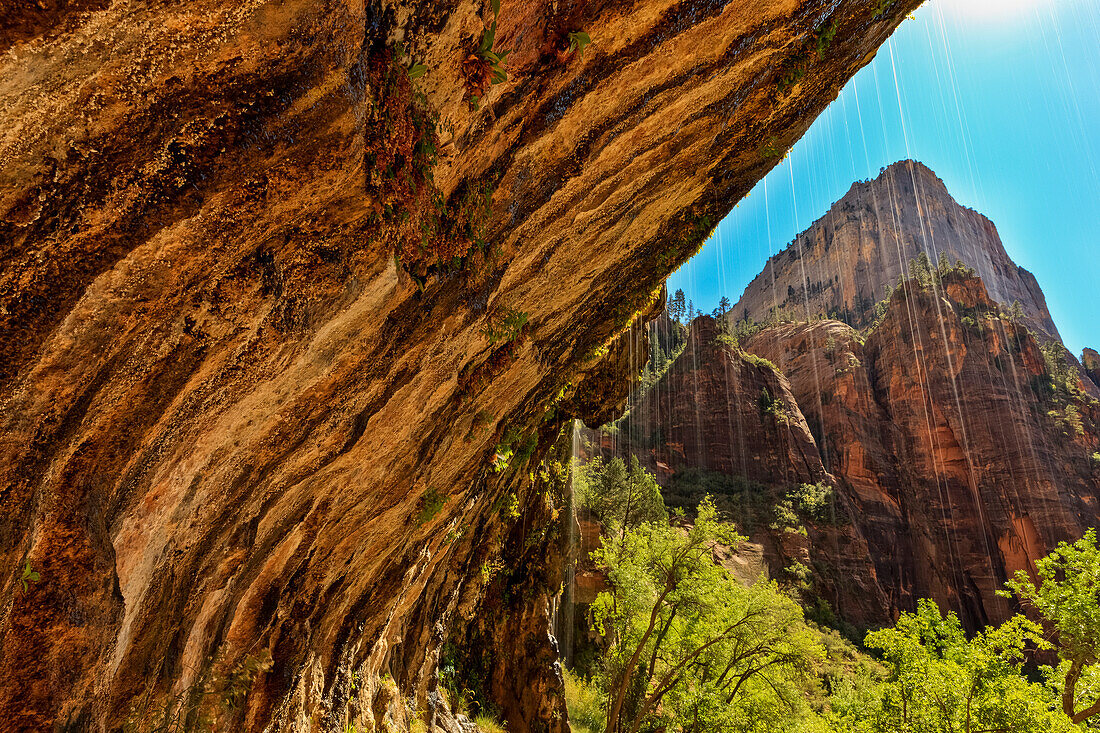 Weeping Wall, Zion National Park; Utah, United States of America