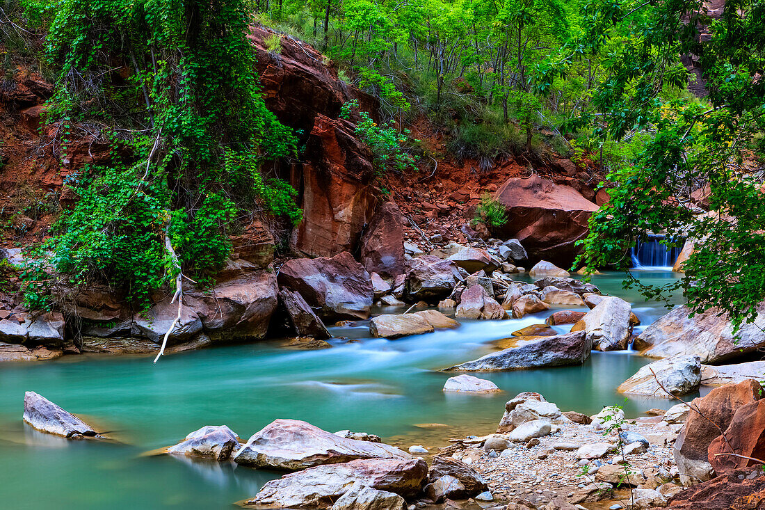 Weinende Wand, Zion-Nationalpark; Utah, Vereinigte Staaten von Amerika