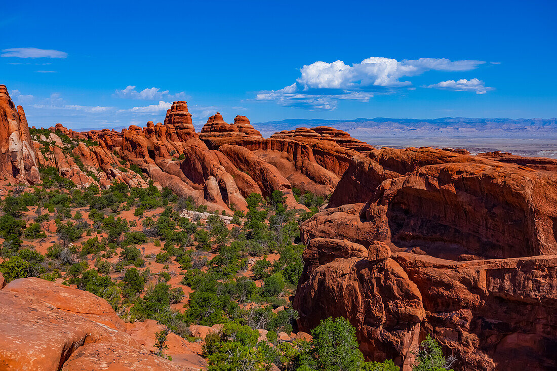 Arches National Park; Utah, United States of America