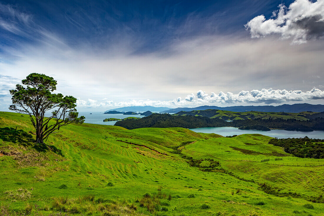 Coromandel-Halbinsel, Südpazifik; Nordinsel, Neuseeland