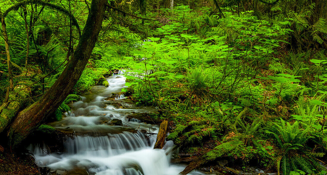 Bridal Veil Falls, Bridal Veil Falls Provincial Park; British Columbia, Canada