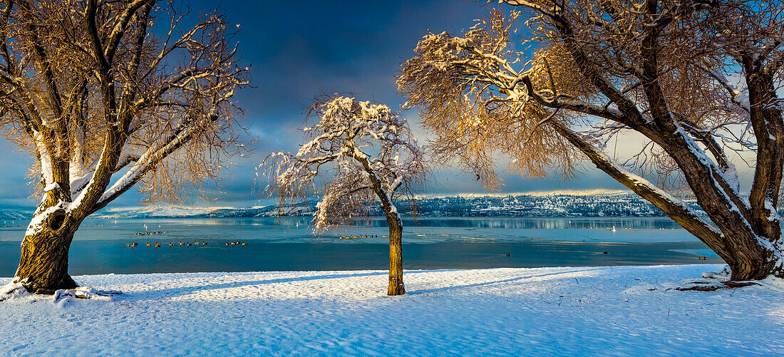 Winter in the Okanagan Valley on the Kelowna beach; Kelowna, British Columbia, Canada