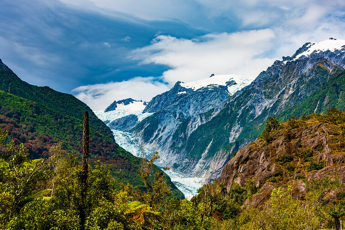 Franz Josef Gletscher; Südinsel, Neuseeland