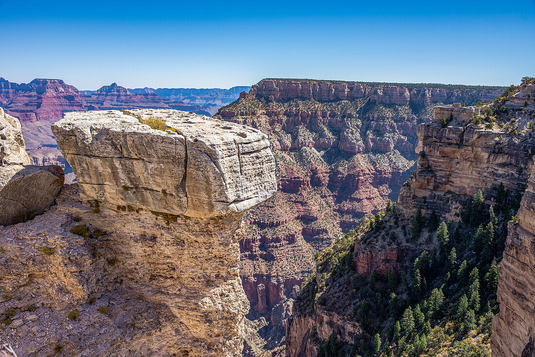 Blick auf den Grand Canyon vom South Rim Trail in der Nähe von Mather Point; Arizona, Vereinigte Staaten von Amerika.