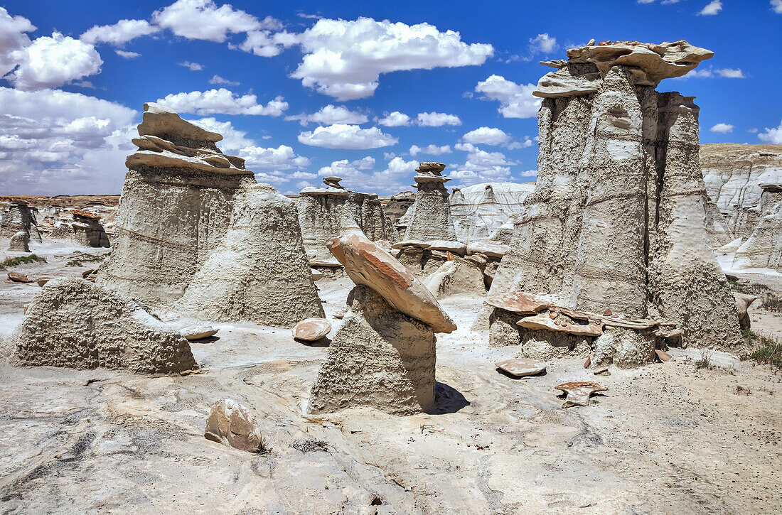 Einzigartige Felsformationen, Bisti Badlands, Bisti/De-Na-Zin Wilderness, San Juan County; New Mexico, Vereinigte Staaten von Amerika