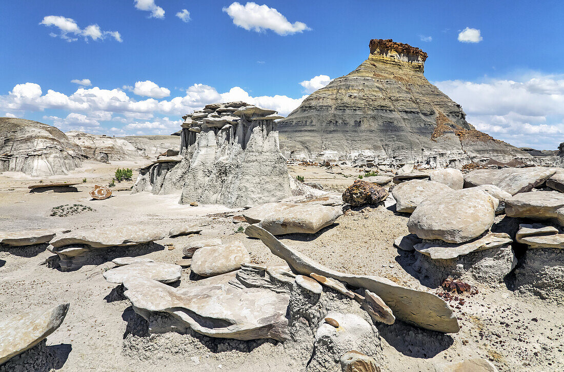 Unique rock formations, Bisti Badlands, Bisti/De-Na-Zin Wilderness, San Juan County; New Mexico, United States of America