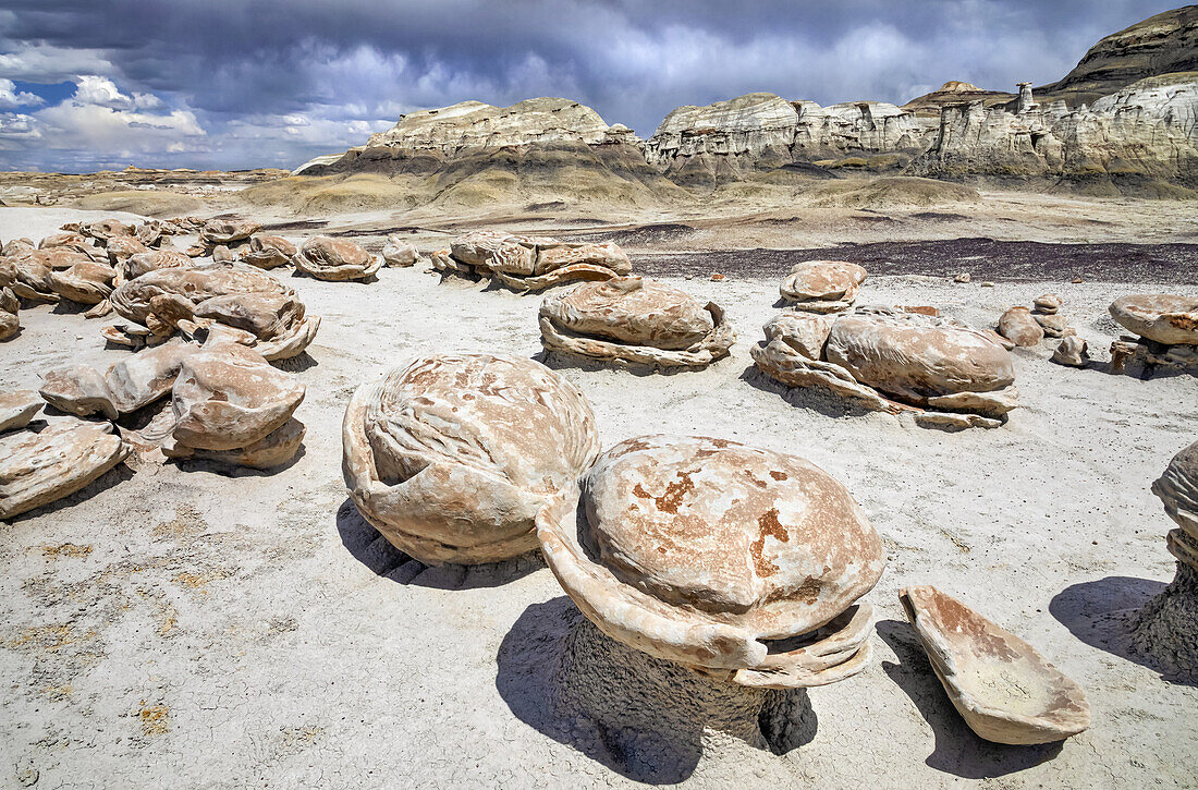 Einzigartige und gemusterte Felsoberflächen, Bisti Badlands, Bisti/De-Na-Zin Wilderness, San Juan County; New Mexico, Vereinigte Staaten von Amerika