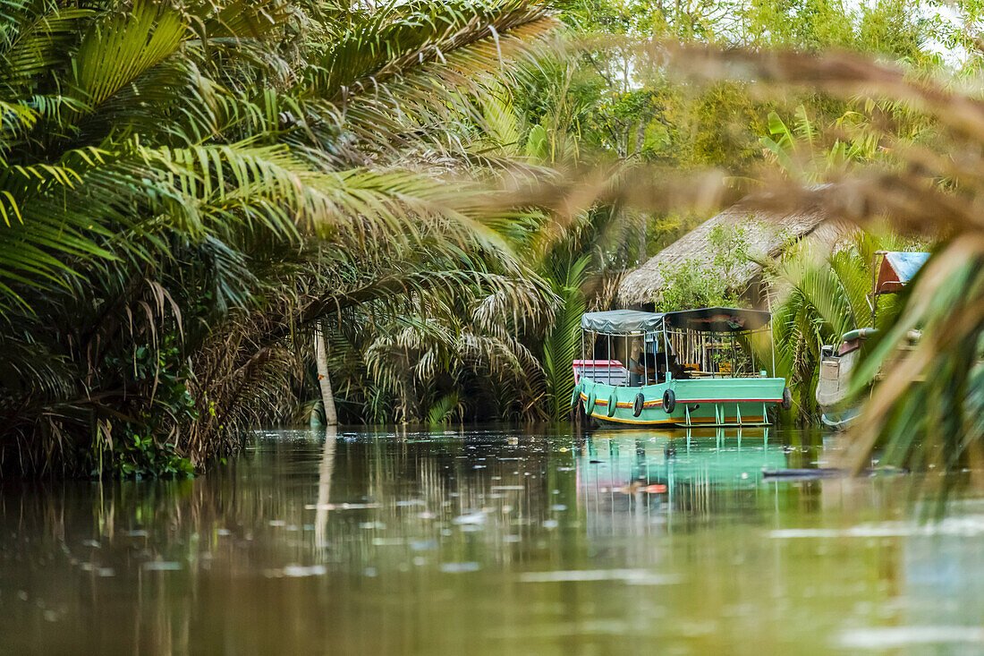 Boot auf dem Mekong-Fluss, Mekong-Flussdelta; Vietnam