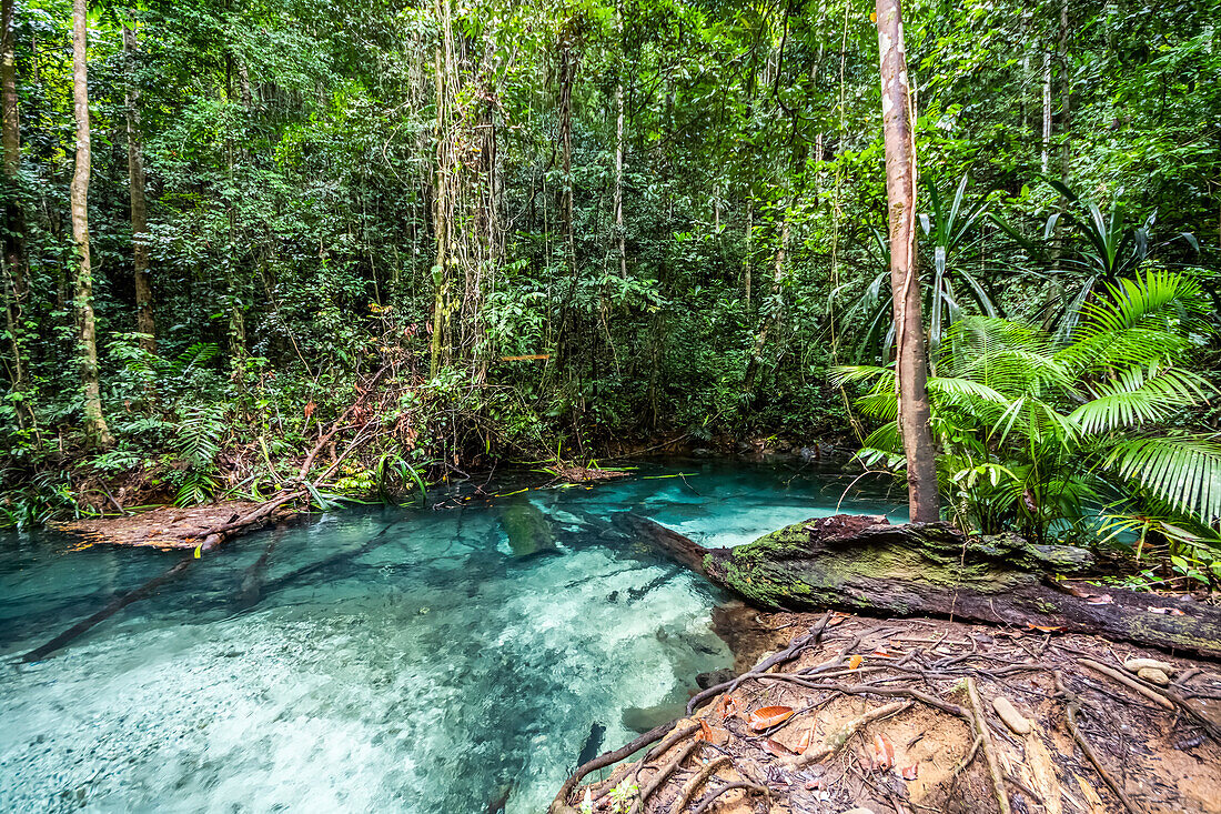 Kali Biru (Blauer Fluss); West Papua, Indonesien.