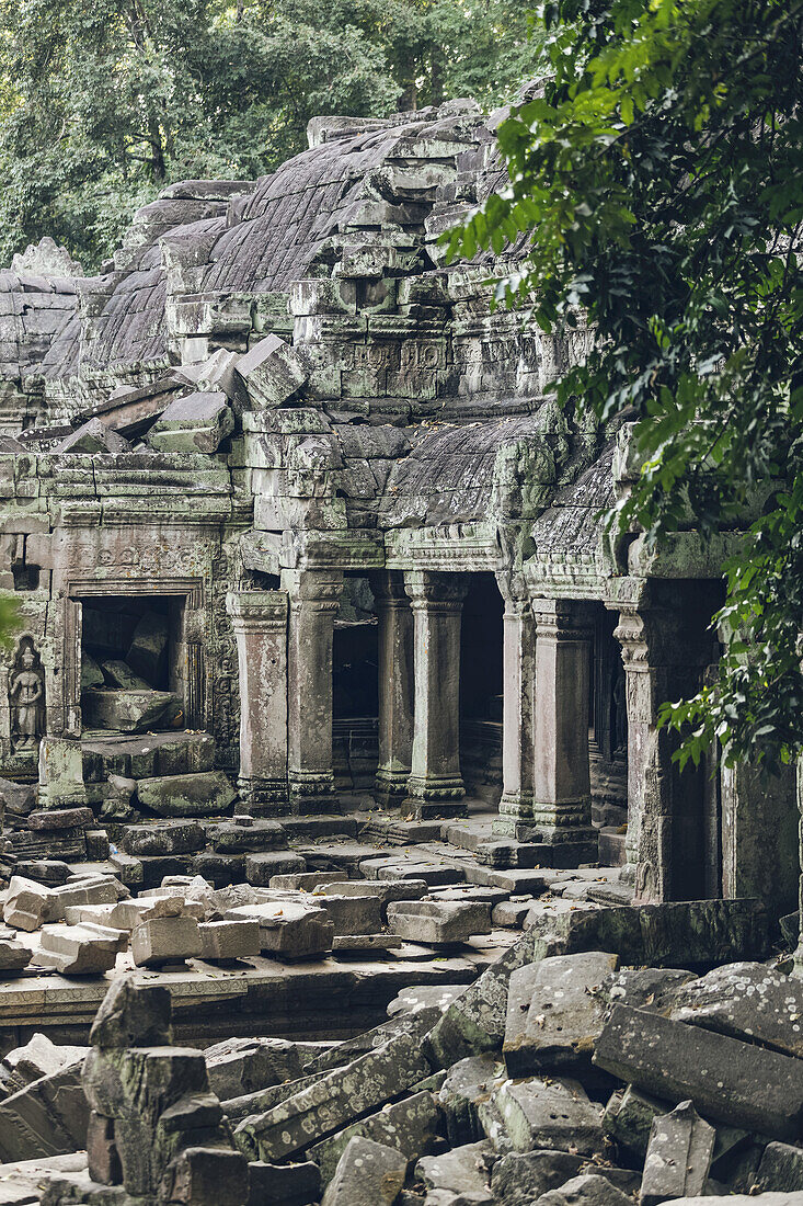 Ta Prohm Temple in the Angkor Wat complex; Siem Reap, Siem Reap, Cambodia