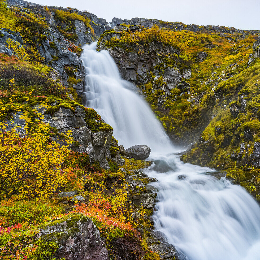 Ein Wasserfall, der eine moosbewachsene Felsklippe hinunterfließt; Sudavik, Westfjorde, Island