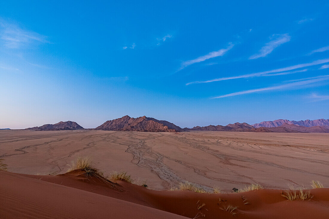 Elim dune, Namib Desert; Sesriem, Namibia