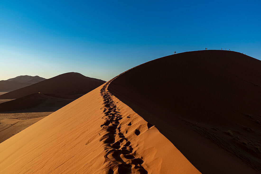 Silhouette of tourists climbing Dune 45 at dawn, Sossusvlei, Namib Desert; Namibia
