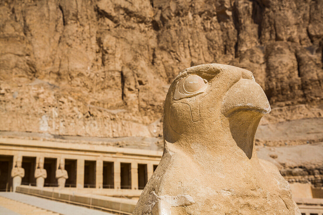 Falkenskulptur, Totentempel der Hatschepsut (Deir el-Bahri), UNESCO-Weltkulturerbe; Luxor, Ägypten.
