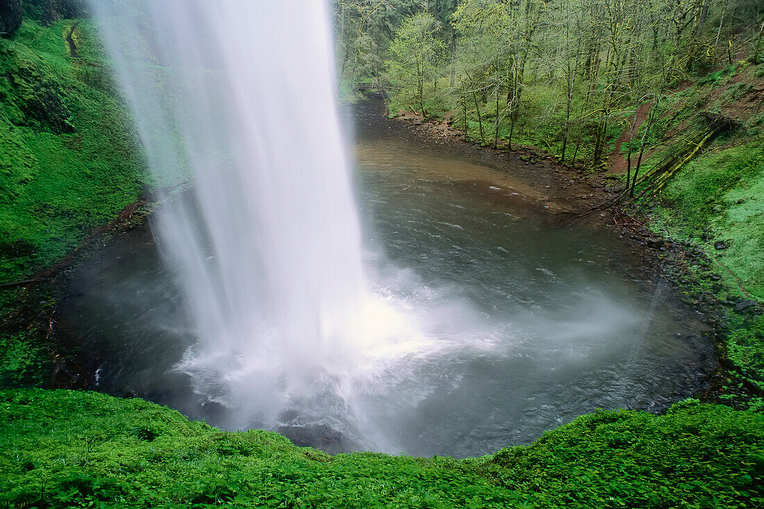 Silver Falls State Park, Oregon, USA