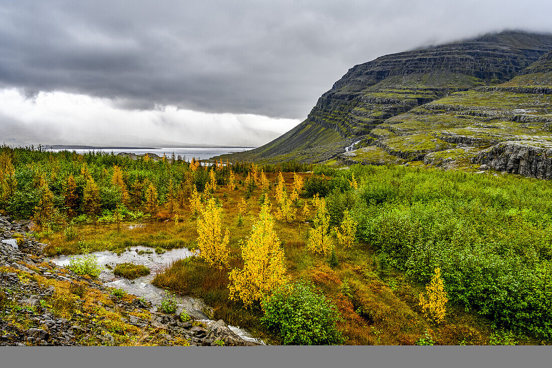 Autumn colours on a landscape in Eastern Iceland; Djupivogur, Eastern Region, Iceland