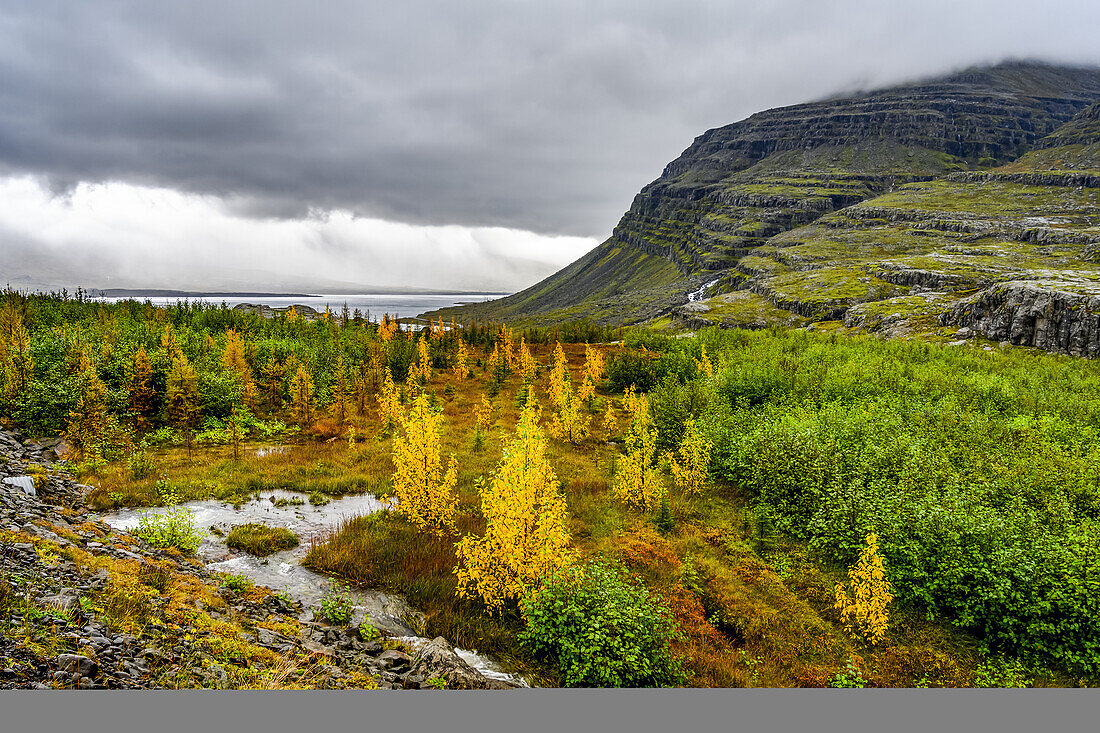 Herbstfarben in einer Landschaft in Ostisland; Djupivogur, Ostregion, Island