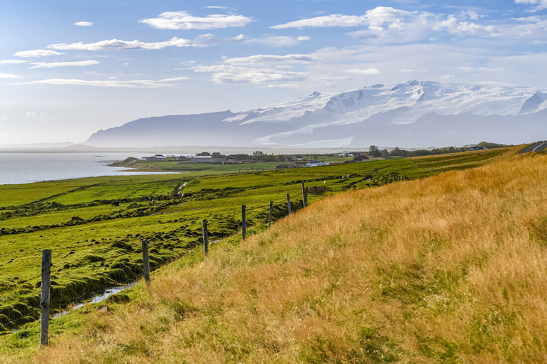 Lush farmland along the coast of Hornafjorour in Eastern Iceland; Eastern Region, Iceland