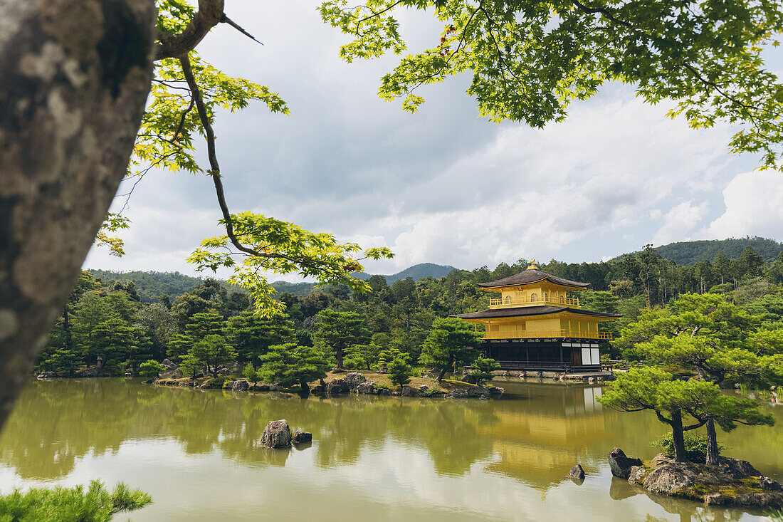 Tempel des Goldenen Pavillons, Kinkaku-ji; Kyoto, Kansai, Japan.
