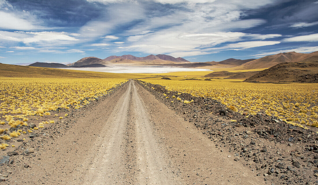 Schotterstraße führt zu einer hochgelegenen Lagune inmitten einer bunten Landschaft; San Pedro de Atacama, Antofagasta, Chile