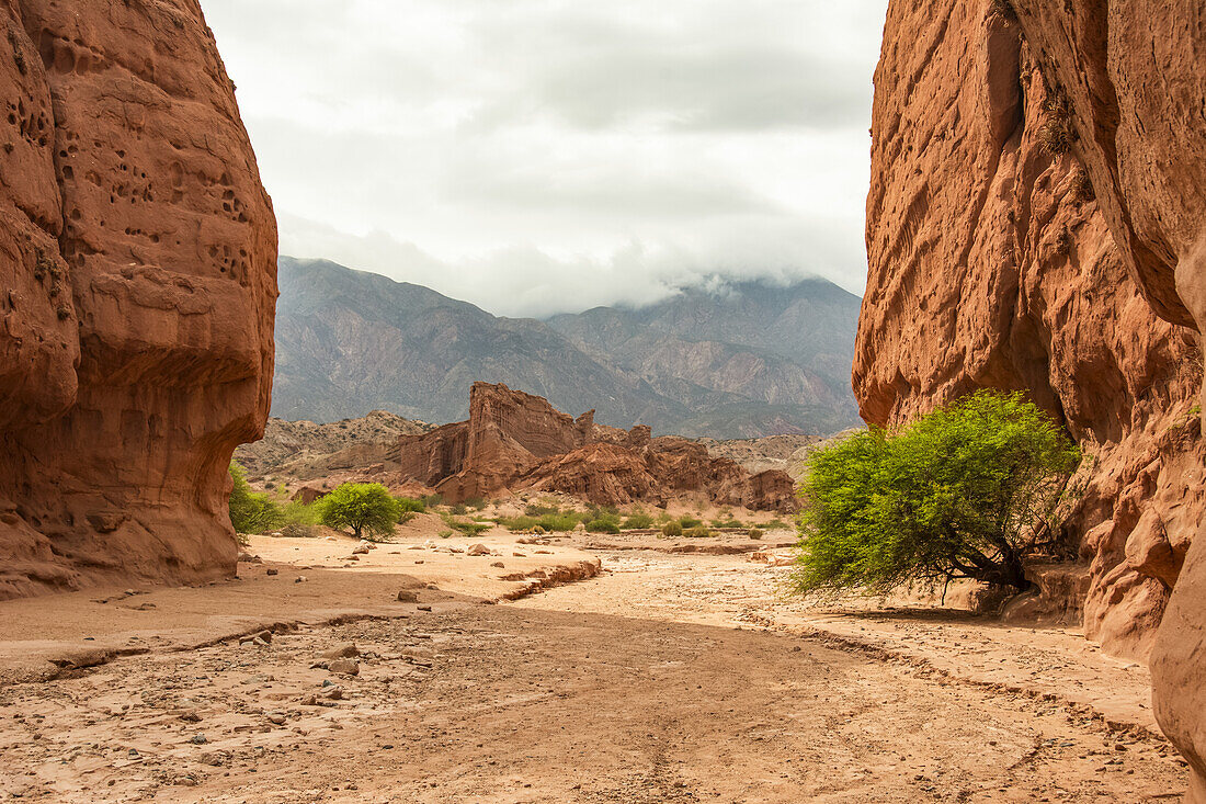 Red rock canyon; Cafayate, Salta, Argentina