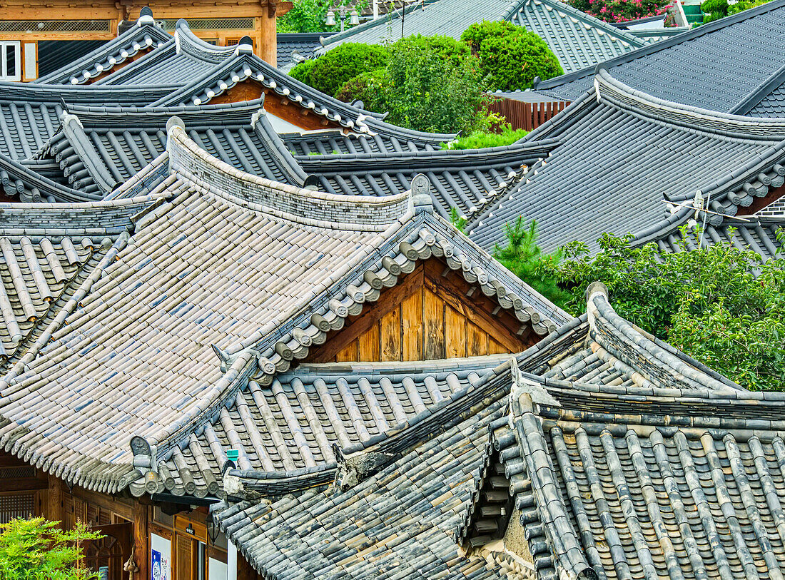 Traditionelle Ziegeldächer säumen die Skyline im Hanok-Dorf Jeonju an einem Sommertag; Jeonju, Jeollabuk, Republik Korea