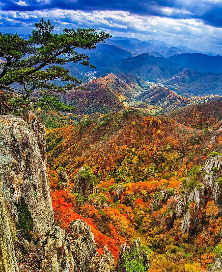 Strahlende Herbstfarben auf den Berggipfeln im Daedunsan Provincial Park, Südkorea, einem beliebten Herbstziel für Wanderer; Jeonbuk, Republik Korea