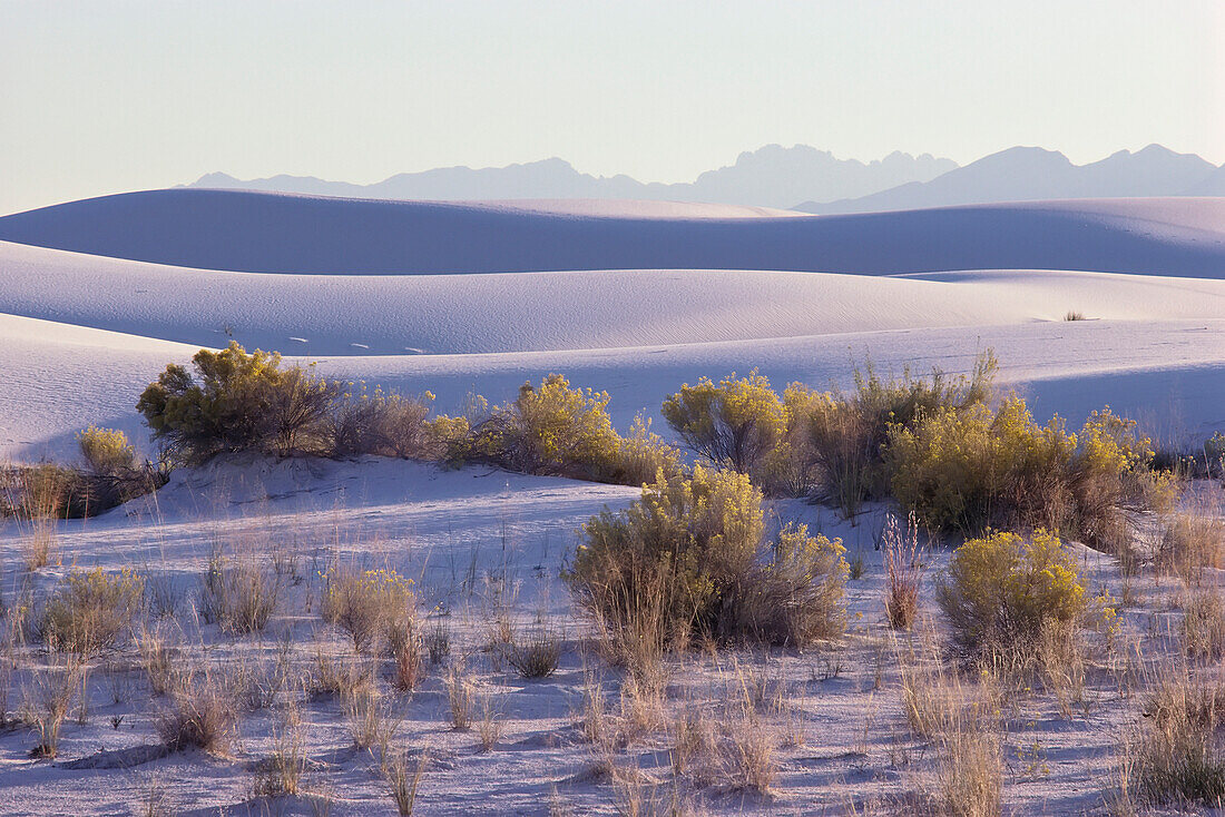 White Sands New Mexico, USA