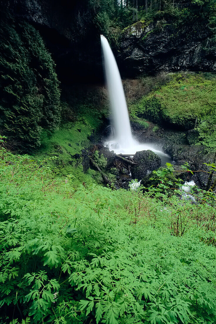 Silver Falls-Staatspark Oregon, USA