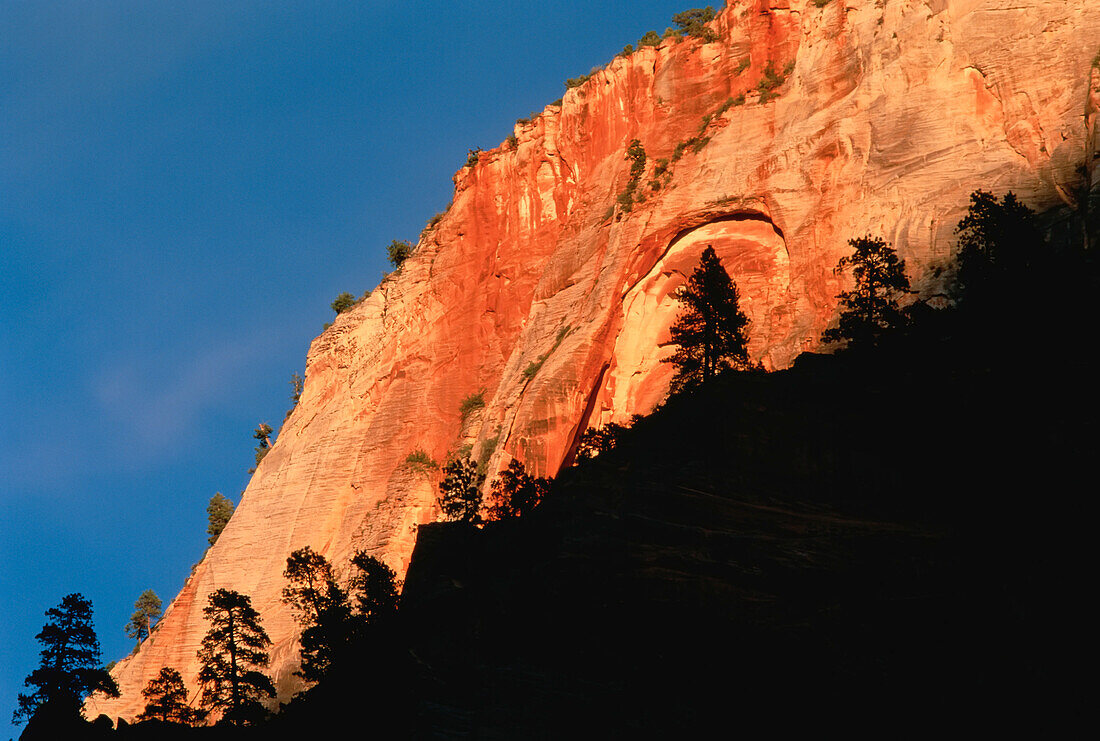 Sunset Zion Canyon, Zion National Park Utah, USA