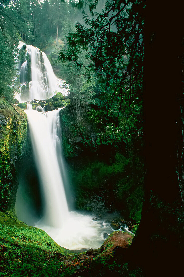 Falls Creek Falls Gifford Pinchot National Forest Washington, USA