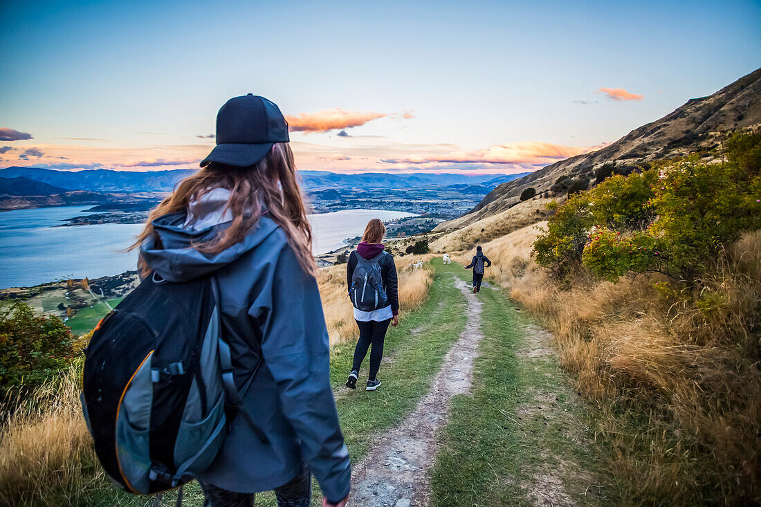 The strenuous yet highly rewarding hike to Roys Peak in Wanaka. The hike is difficult but the views are spectacular. Young women on the trail of a hillside with sheep; Wanaka, Otago, New Zealand