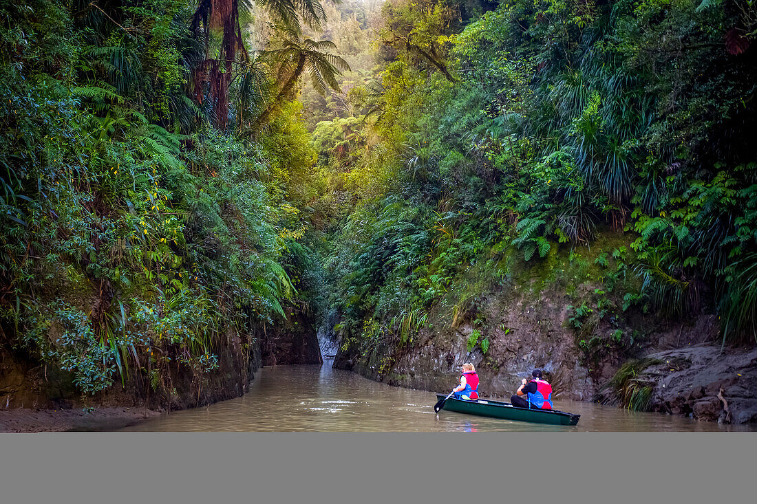 The Blue Duck lodge located in the Whanganui National Park is a working cattle farm with a focus on conservation. Kayaking down river through the beautiful rainforest; Retaruke, Manawatu-Wanganui, New Zealand