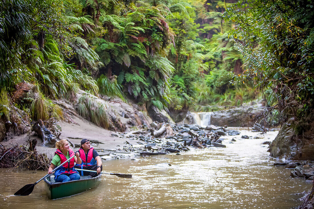 The Blue Duck lodge located in the Whanganui National Park is a working cattle farm with a focus on conservation. Kayaking down river through the beautiful rainforest; Retaruke, Manawatu-Wanganui, New Zealand