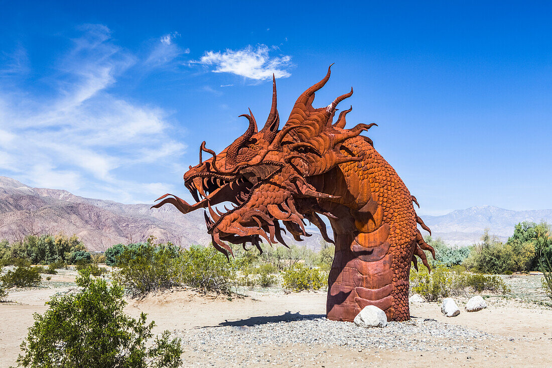 Exploring the 'Super Bloom' at Anza-Borrego Desert State Park, in Borrego, California. The RICARDO BRECEDA SCULPTURES in the Galleta Meadows is a major draw to the area. This is a unique sea serpent sculpture he created; Borrego Springs, California, United States of America