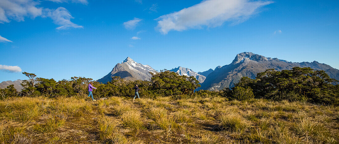 Eine Wanderung auf dem Key Summit Track als Teil des Routeburn Tracks im Fiordland National Park; Southland, Neuseeland.