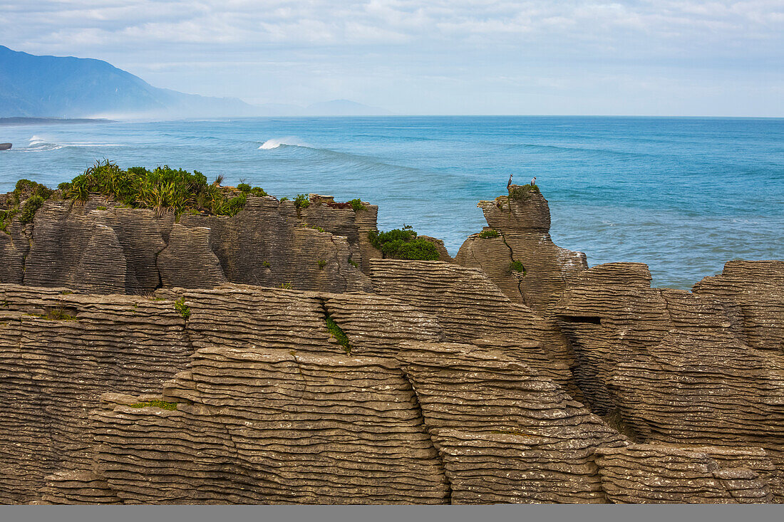 Exploring the unique geological features of the Pancake Rocks that are found at Dolomite Point, near the settlement of Punakaiki at the edge of the Paparoa National Park; West Coast, New Zealand