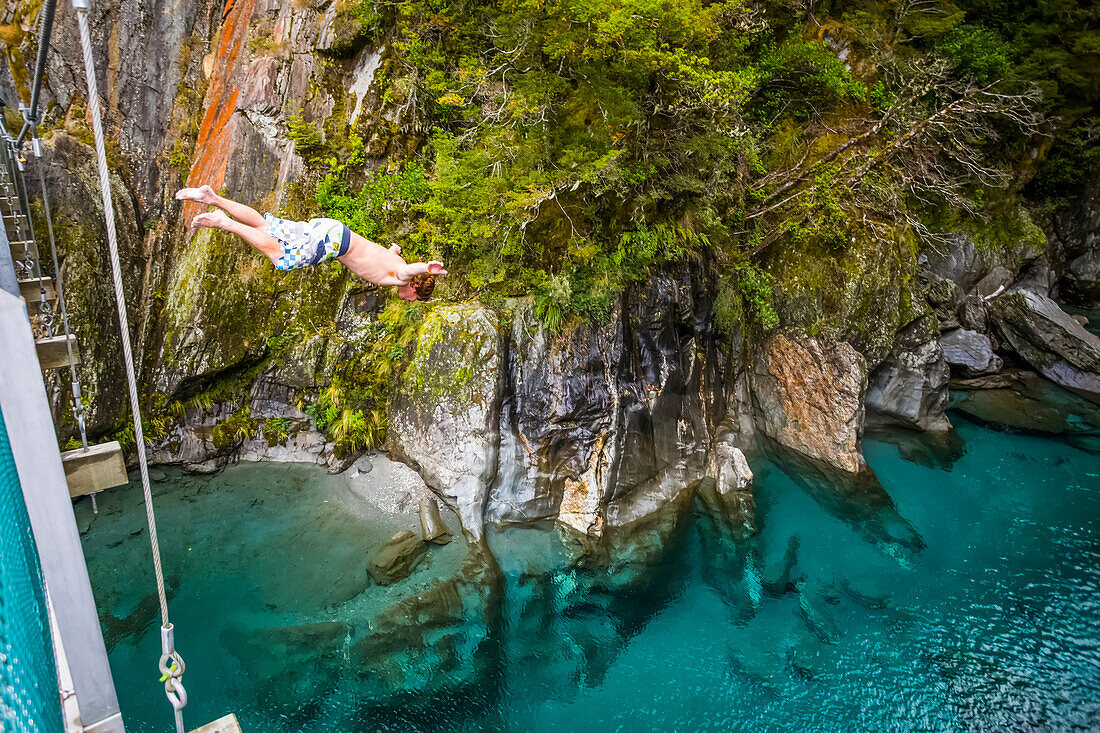 Die Blue Pools von Makarora bieten verlockend blaues Wasser zum Schwimmen. Ein Mann springt von einer Brücke ins Wasser im Mount Aspiring National Park; Makarora, Neuseeland