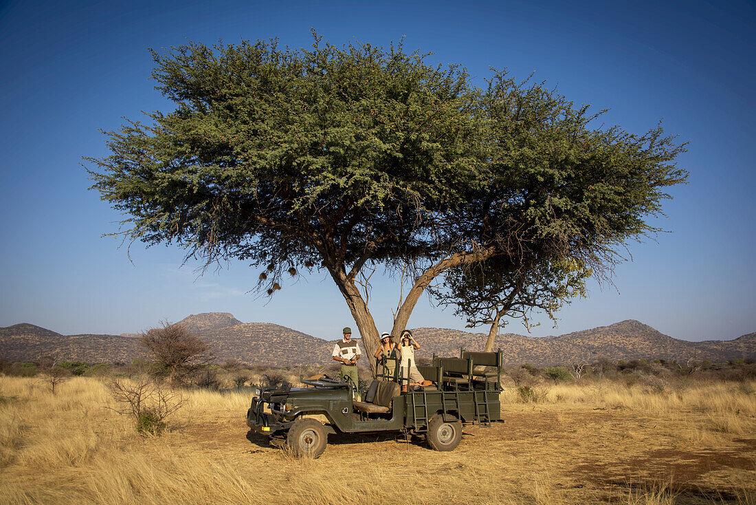 Guide and women travelers on safari and standing in a parked jeep under an acacia tree looking out onto the savanna at the Gabus Game Ranch; Otavi, Otjozondjupa, Namibia