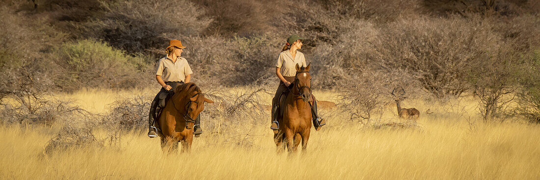 Zwei Frauen reiten auf Pferden (Equus ferus caballus) durch den Busch auf der Gabus Game Ranch und drehen sich um, um Antilopen im Hintergrund zu sehen; Otavi, Otjozondjupa, Namibia.