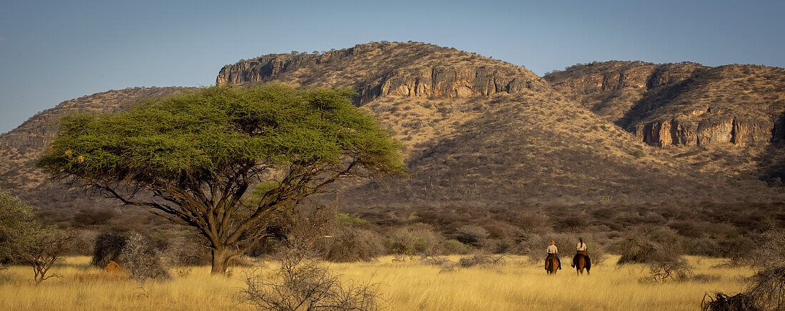 Blick von hinten auf zwei Frauen, die auf Pferden (Equus ferus caballus) durch den Busch reiten, auf der Gabus Game Ranch mit Bergen im Hintergrund bei Sonnenuntergang; Otavi, Otjozondjupa, Namibia.