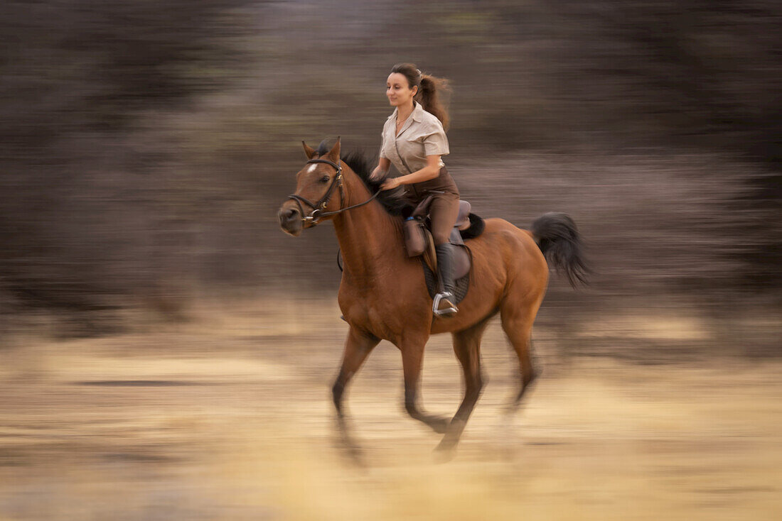 Frau reitet Pferd (Equus ferus caballus) im Trab an Bäumen vorbei in der Savanne auf der Gabus Game Ranch; Otavi, Otjozondjupa, Namibia.