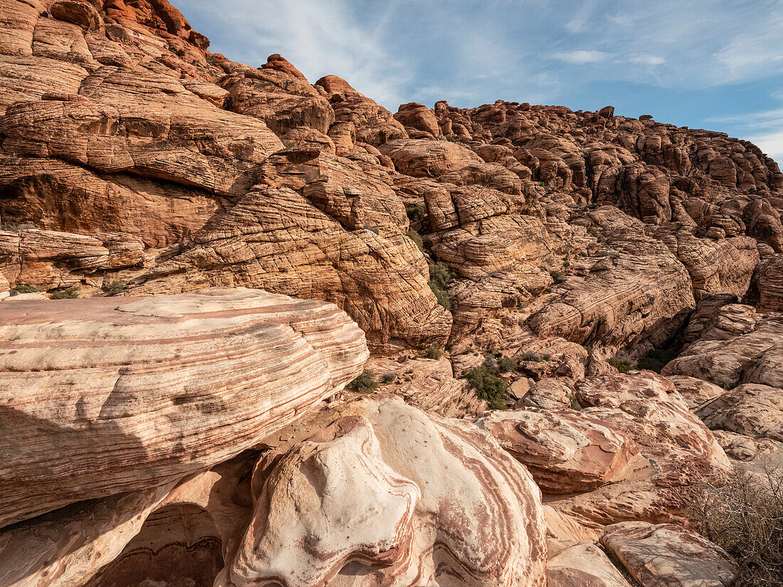 Die Felsen des Red Rock Canyon in der Nähe von Las Vegas; Nevada, Vereinigte Staaten von Amerika