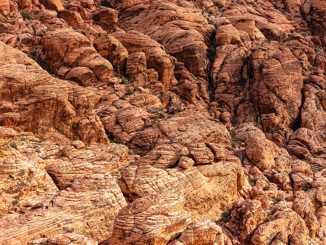 Die Felsen des Red Rock Canyon in der Nähe von Las Vegas; Nevada, Vereinigte Staaten von Amerika